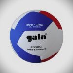 Míč volejbalový Gala Pro-Line BV 5585 S s logem SKVD