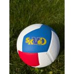 Míč volejbalový Gala Pro-Line BV 5585 S s logem SKVD
